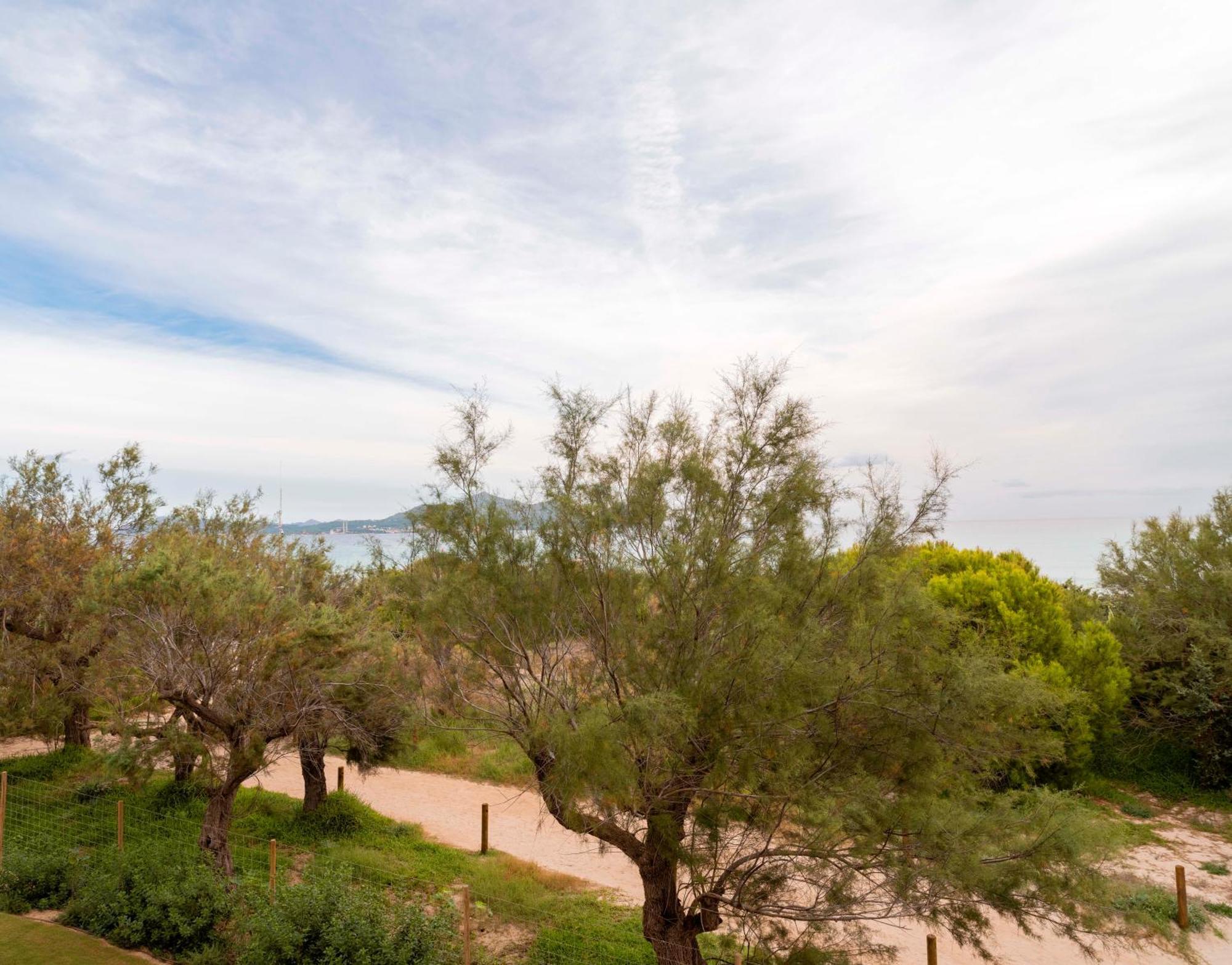 Iberostar Selection Albufera Park Hotel